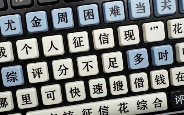 哪里可以快速借钱不用审核?征信花综合评分不足怎么办? 哪里可以快速借钱不用审核