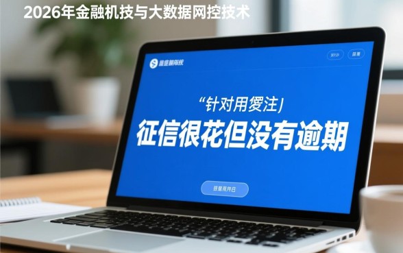 2026征信很花没有逾期还有下款的口子吗