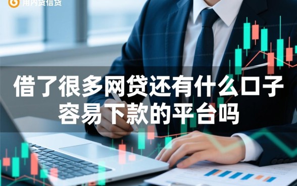借了很多网贷还有什么口子容易下款的平台吗,借了很多还能下款吗 借了很多网贷还有什么口子容易下款的平台吗