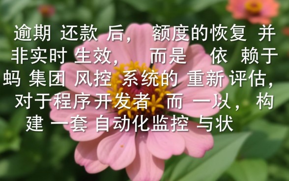 还了有额度有什么方法可以用吗