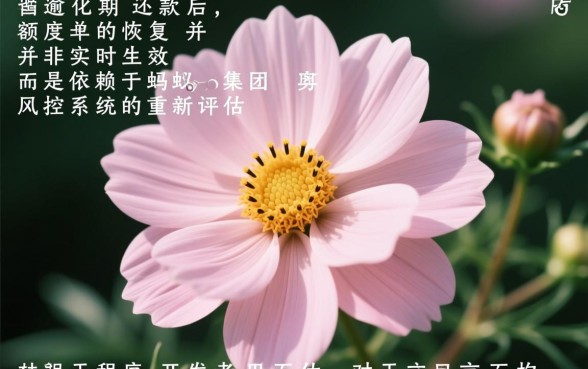 还了有额度有什么方法可以用吗