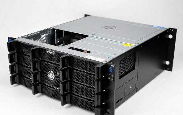 墨西哥黑王蛇苗腹部凹陷有口子