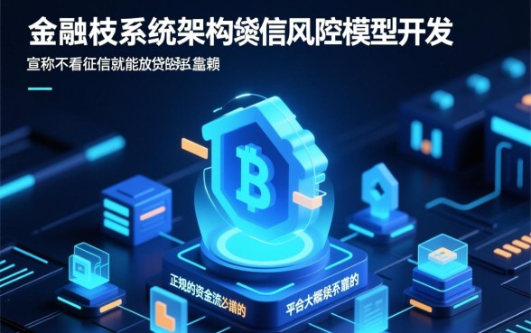 不看征信就能贷款的平台靠谱吗