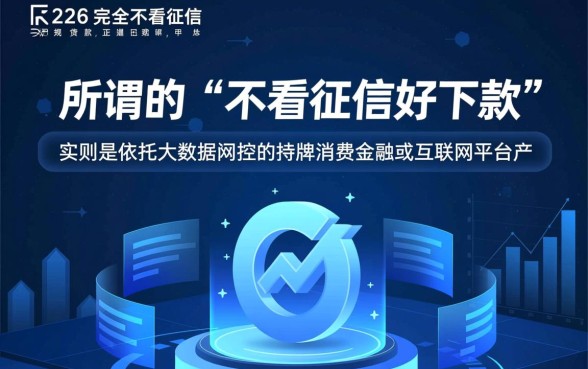 2026有哪些口子是不看征信好下款的