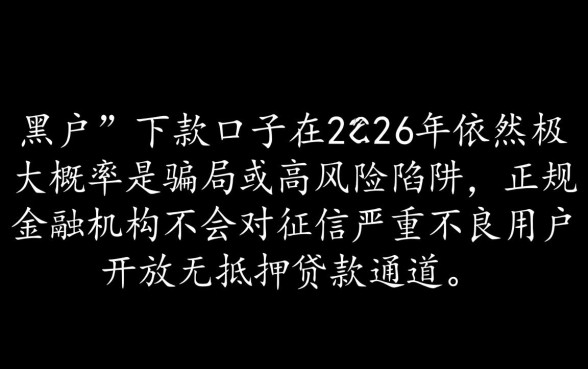 黑户能下款的口子真的能下款吗2026,黑户口子有哪些? 黑户能下款的口子真的能下款吗2026