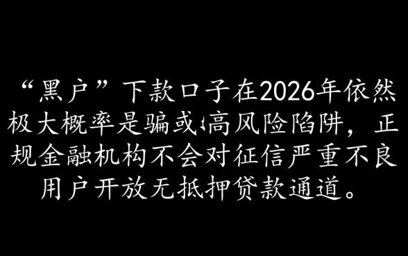 黑户能下款的口子真的能下款吗2026,黑户口子有哪些? 黑户能下款的口子真的能下款吗2026