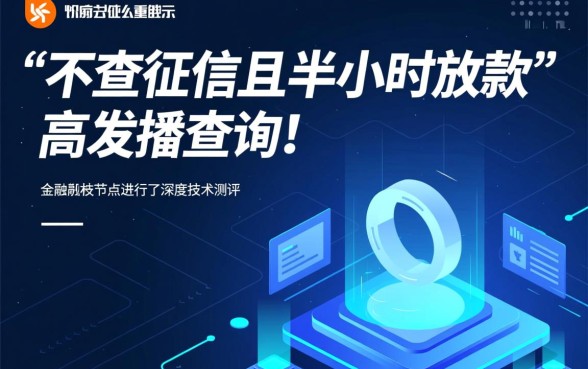 哪个借款平台不查征信半小时放款的呢