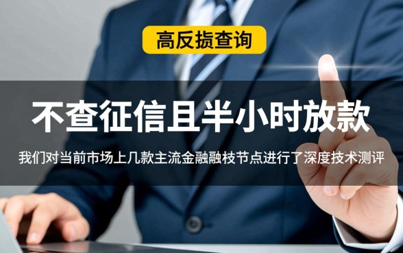 哪个借款平台不查征信半小时放款的呢