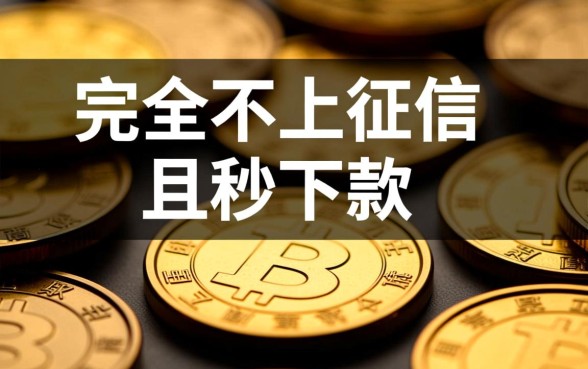 借钱不上征信马上到账晚上有哪些