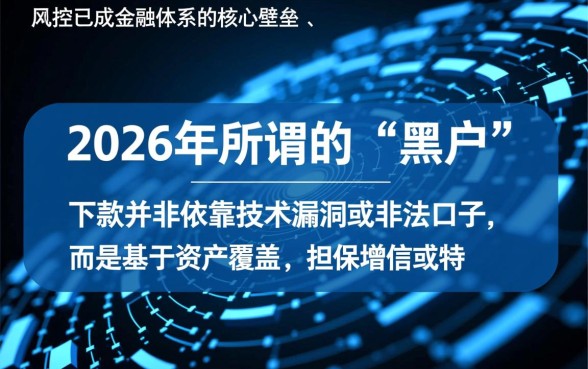 大数据黑了能下的贷款口子2026年有吗