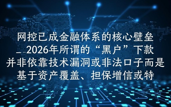 大数据黑了能下的贷款口子2026年有吗