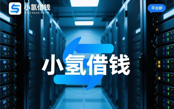 无视黑户的口子有吗