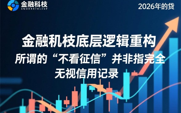 2026年新口子小额贷款不看征信吗