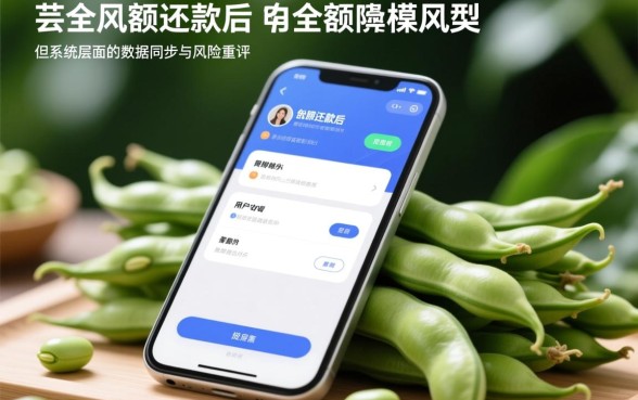 芸豆分一笔清还后能否马上申请贷款,能下款吗? 芸豆分一笔清还后能否马上申请贷款