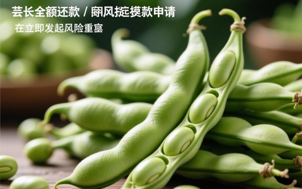 芸豆分一笔清还后能否马上申请贷款,能下款吗? 芸豆分一笔清还后能否马上申请贷款