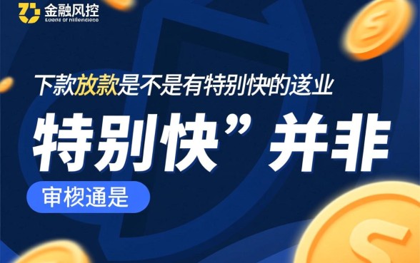 下款放款是不是有特别快的审核通道