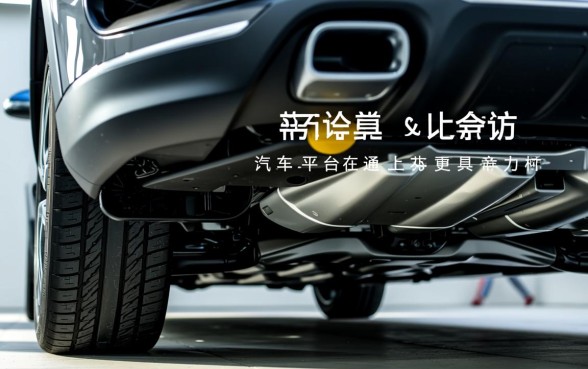哪些汽车平台在通过性上更具竞争力