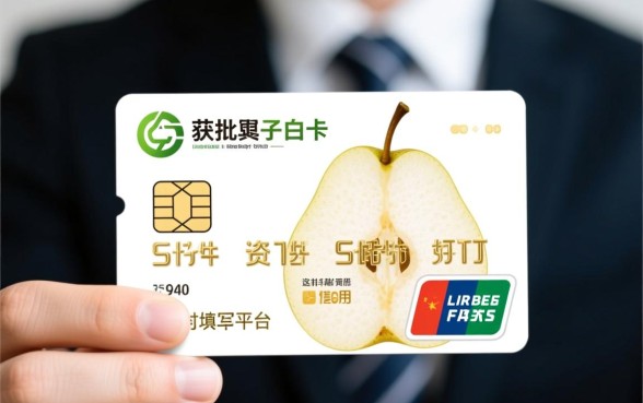 梨子白卡申请下款需要满足哪些条件