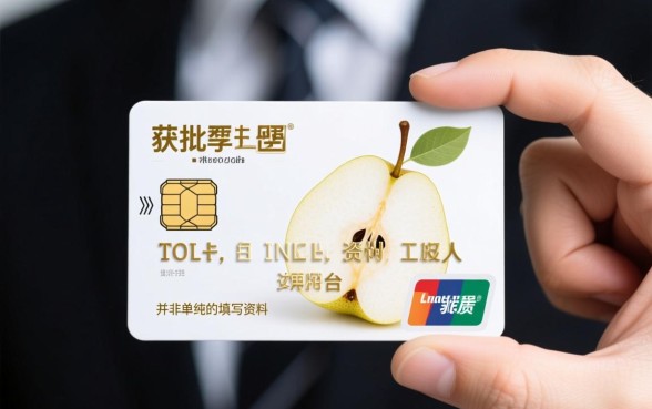 梨子白卡申请下款需要满足哪些条件