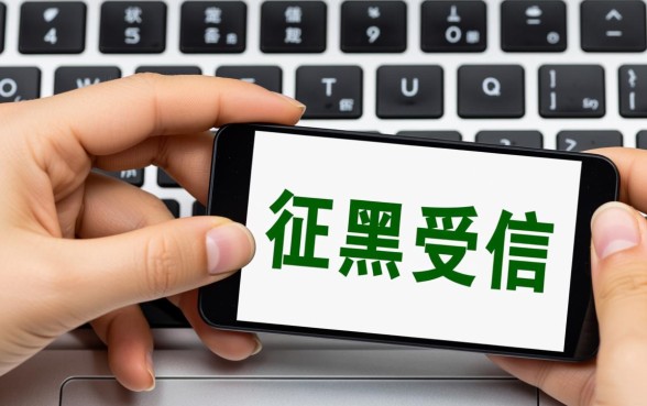 现在有什么平台是黑户也可以下款的