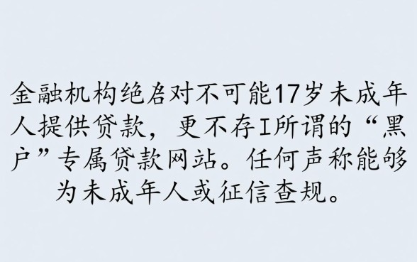 黑户17岁能贷款吗
