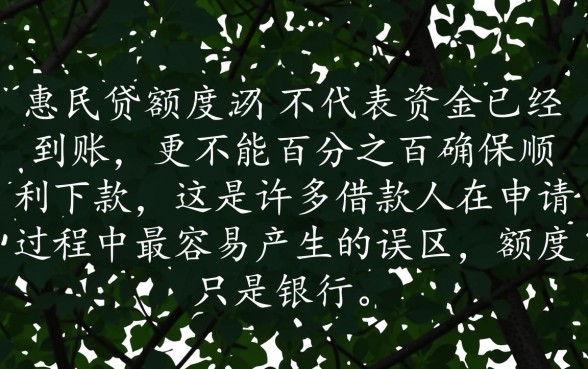 惠民贷有额度就能确保顺利下款吗