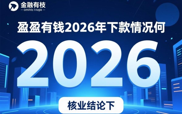 盈盈有钱2026年下款情况如何