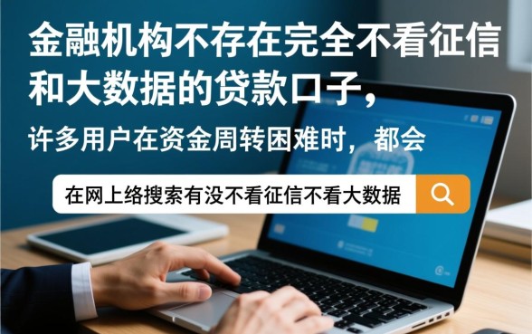 有没有不看征信不看大数据的口子