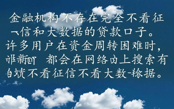 有没有不看征信不看大数据的口子