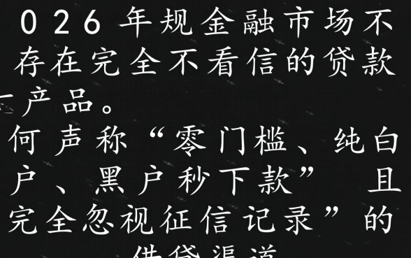 2026年不看征信秒批贷款有哪些