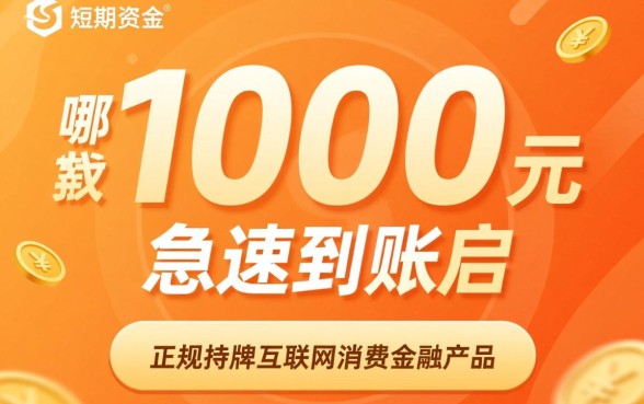 哪里可以贷款1000元急速到账
