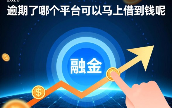 逾期了哪个平台可以马上借到钱呢