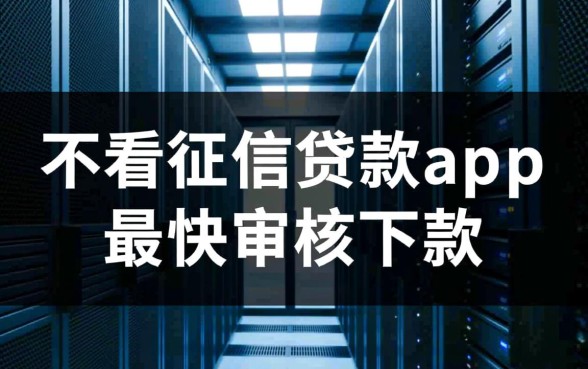 不看征信贷款app哪个最快审核下款