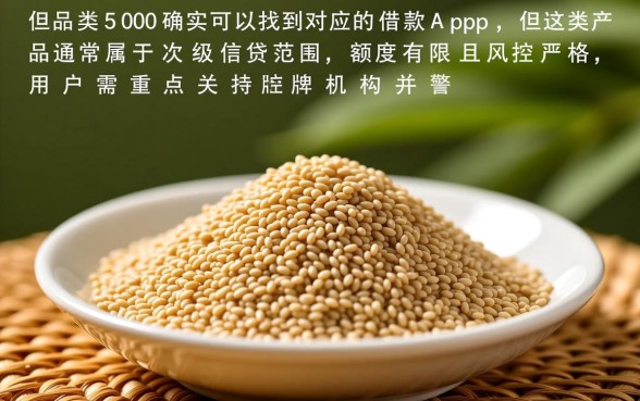 有不有芝麻分500的借款app