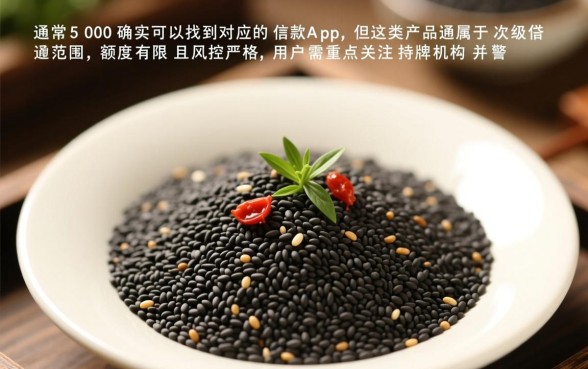 有不有芝麻分500的借款app