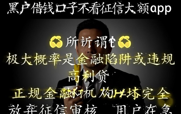 黑户借钱不看征信大额吗