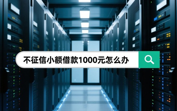 不征信小额借款1000元怎么办