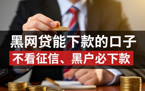 黑网贷能下款的口子是哪几个平台