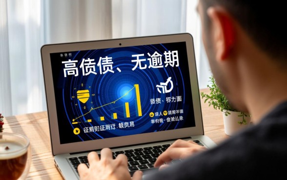 负债高没有逾期可以申请什么贷款