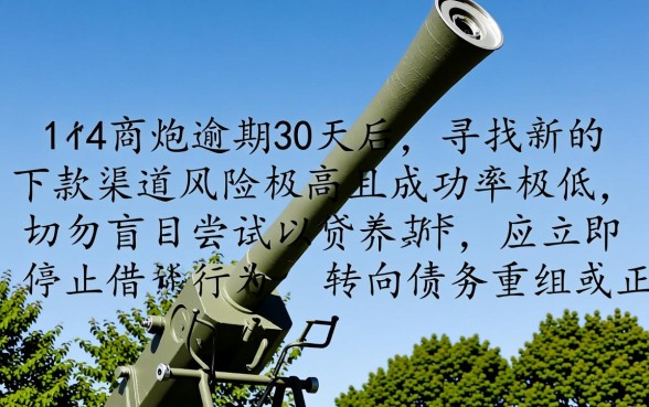 714逾期30多天还能下的口子