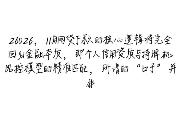 2026年11月网贷能下款的口子有哪些