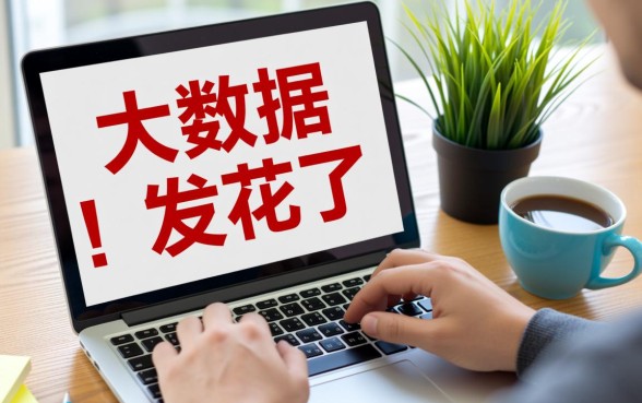 大数据花了能下款的口子有哪些