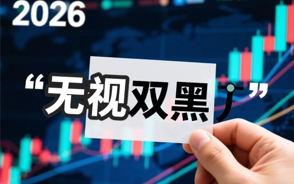 2026无视双黑负面口子有哪些