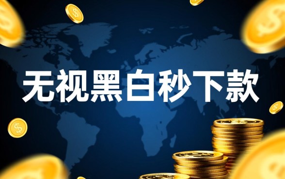 2026最新无视黑白秒下款口子