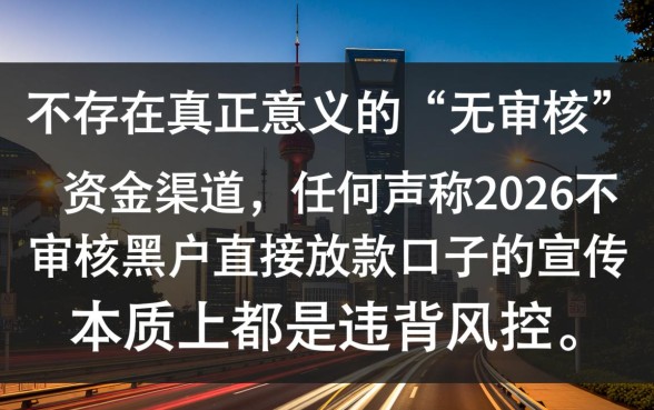 2026不审核黑户口子能下款吗