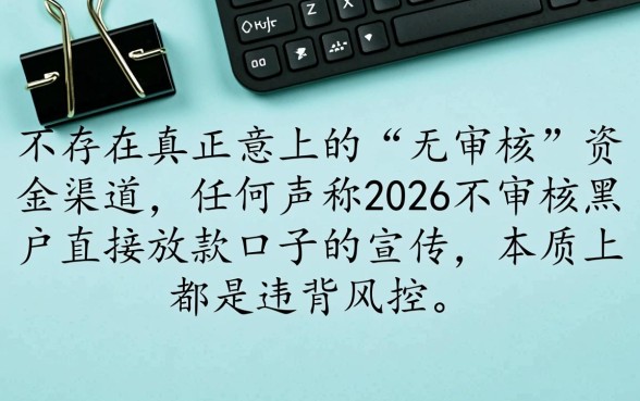 2026不审核黑户口子能下款吗