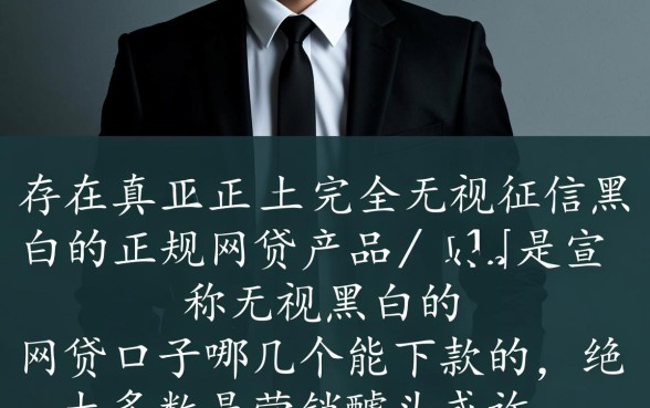 无视黑白的网贷口子哪几个能下款