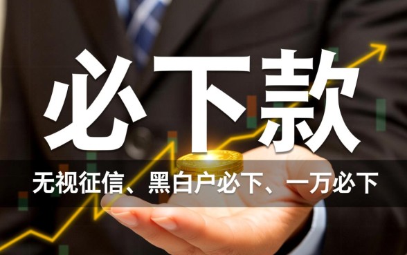 有没有人尝试过一万必下款的口子