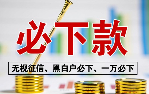 有没有人尝试过一万必下款的口子