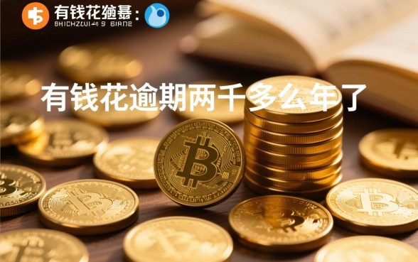 有钱花逾期两千多3年了怎么办